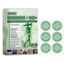 TRATAMENTO Adesivo Moringa + Berberina — Metabolismo Ativo, Apetite Controlado, Vida Leve